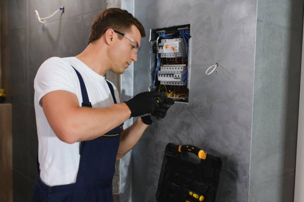 Best Generator Installation Services  in Wapello, IA