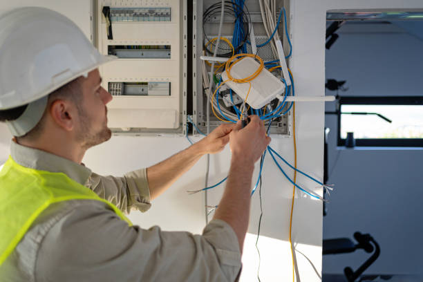 Best Electric Panel Repair  in Wapello, IA